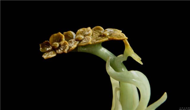 翡翠的颜色有一百零八种?知道这四种就行了!