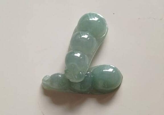 油青种翡翠四季豆