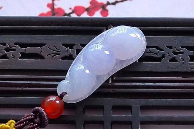 紫罗兰翡翠四季豆 紫罗兰翡翠四季豆