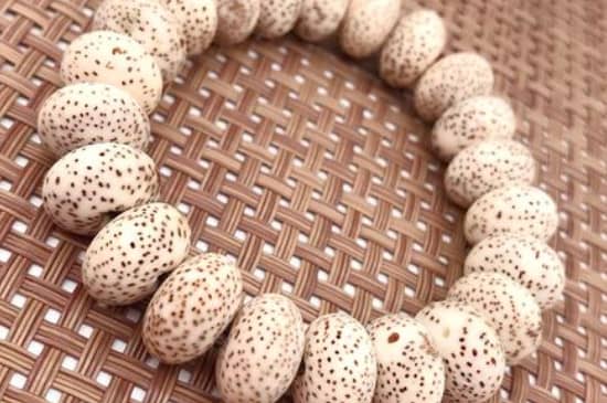 菩提是什么材料