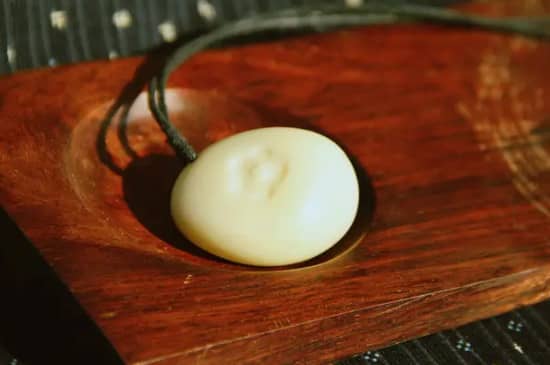 怎么鉴别象牙果是不是塑料