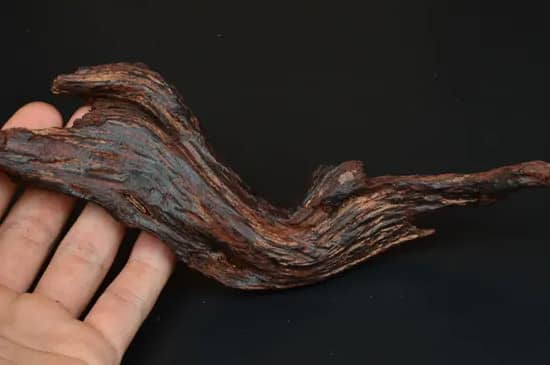 降真香的9个等级