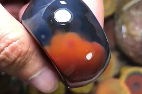 战国红和南红的区别