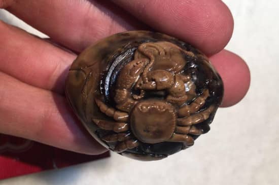 根珀和假根珀的鉴别